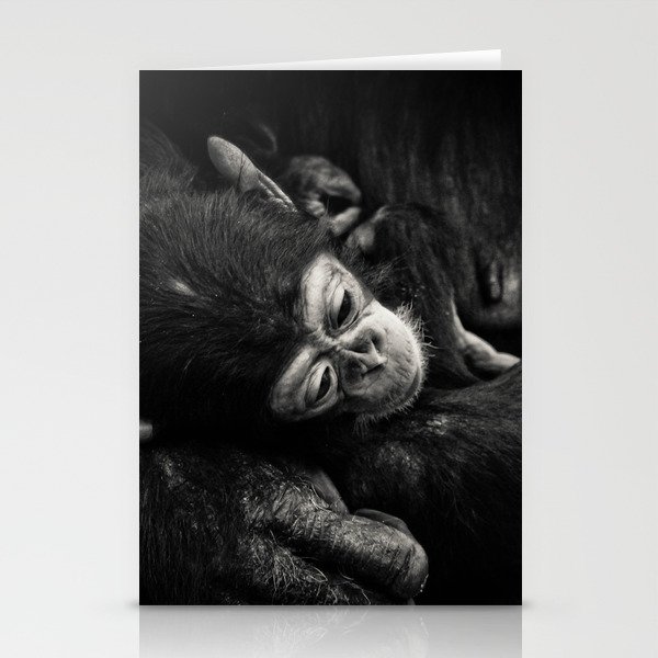 Baby Chimpanzee Stationery Cards