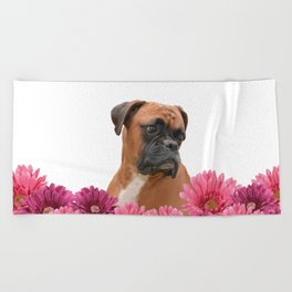 Boxer with pink Gerbera Flowers Beach Towel