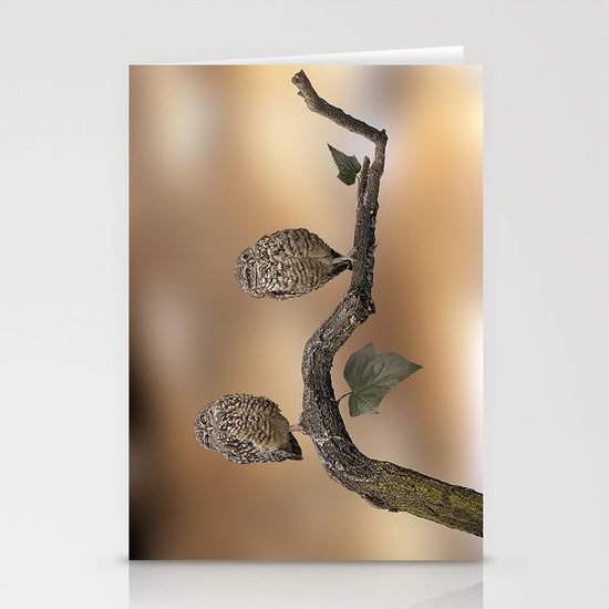 Owls Stationery Cards