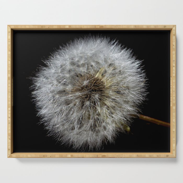 dandelion flower Serving Tray