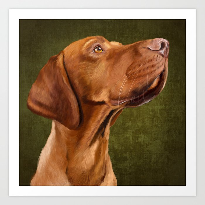 Dog Gift Present Top Quality Cushion Cover NEW RESERVED FOR THE VIZSLA Dog Gift Present Top Quality Cushion Cover NEW RESERVED FOR THE VIZSLA