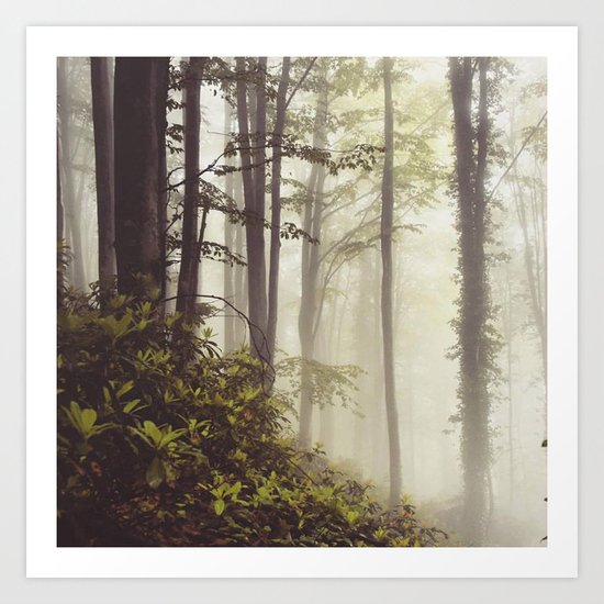 misty forest Art Print