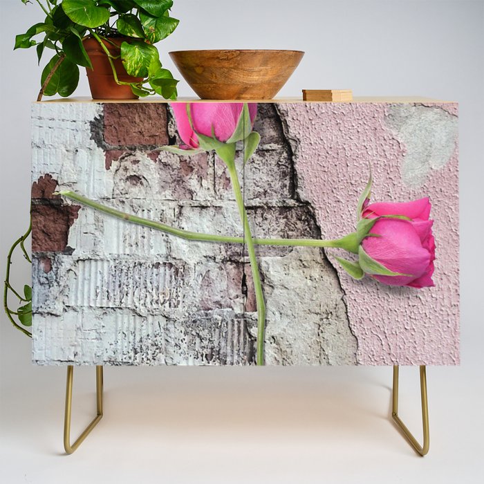 Pink Roses on Concrete  Credenza