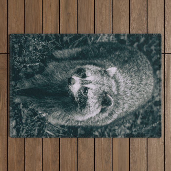 Curious Raccoon, Black and White Photograph Outdoor Rug