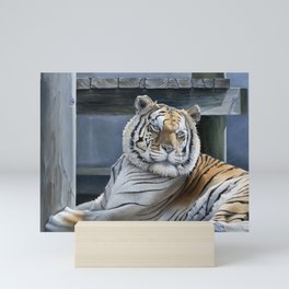 Bengal Tiger Mini Art Print