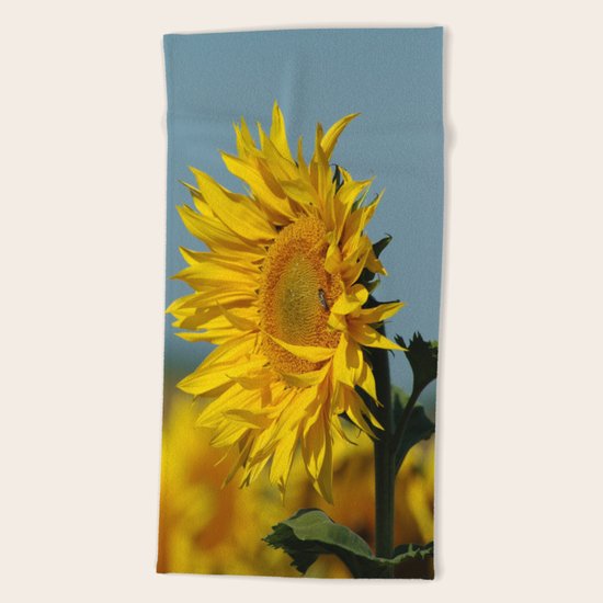 Sunflower Beach Towel