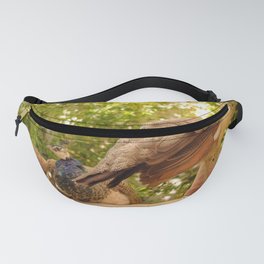 Paon Fanny Pack