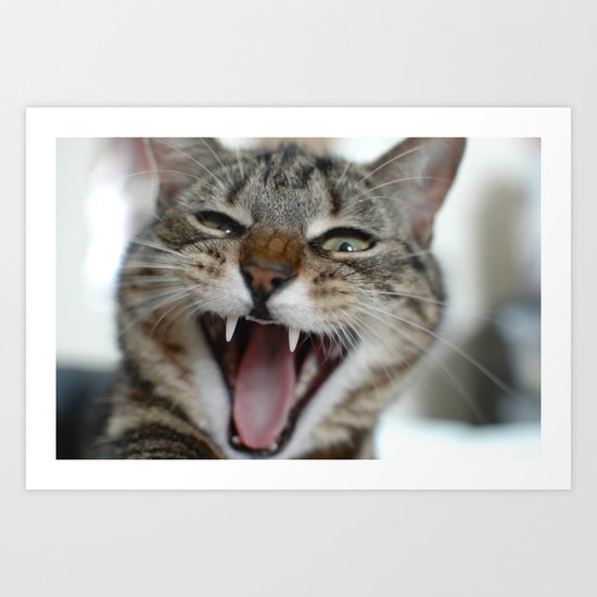 Meow Cat Art Print