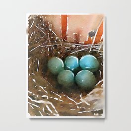 Bluebird Nest Metal Print