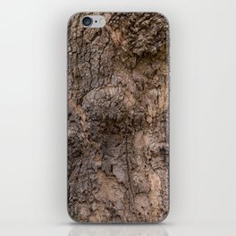 bark pattern of a tree in nature forest iPhone Skin