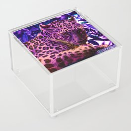 Leopard 90s Style Acrylic Box