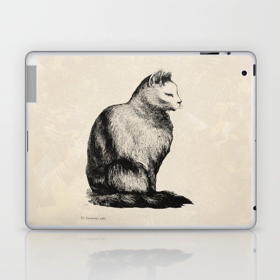 Domestic Cat Laptop & iPad Skin
