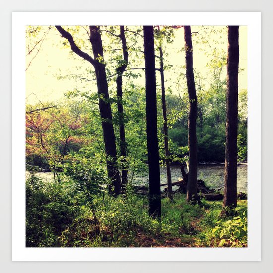 Nature 2 Art Print