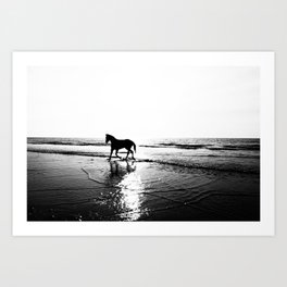 Wild horse of Assateague Island running free in the surf at twilight black and white equestrian portrait photograph - photograph - photographs Art Print