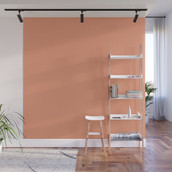 Designer Color of the Day - Shell Coral Peach Orange Wall Mural