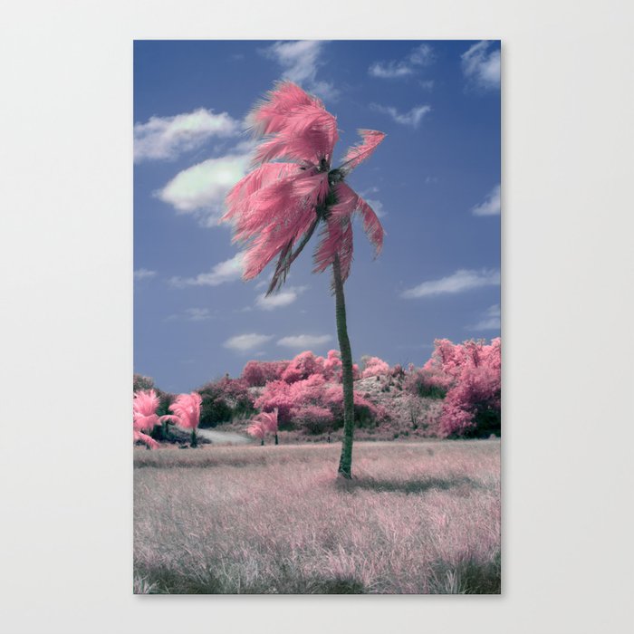 I am the Lorax - I speak for the trees Canvas Print