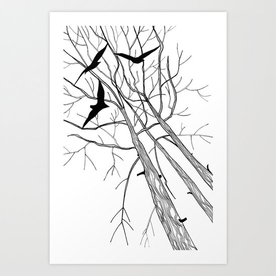 Birds Art Print