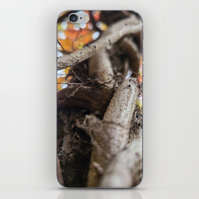 Twisted Trunk iPhone Skin