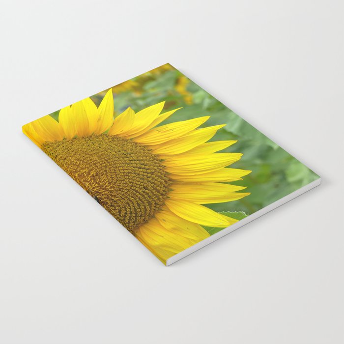 Summer Sunflower Notebook