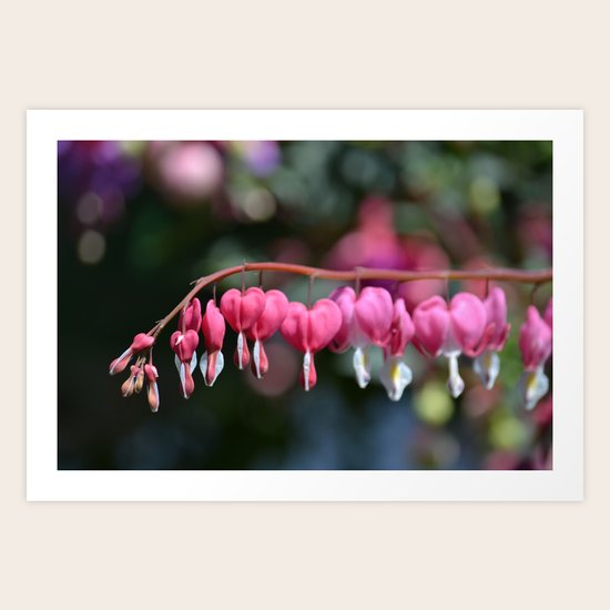 Bleeding Hearts Art Print