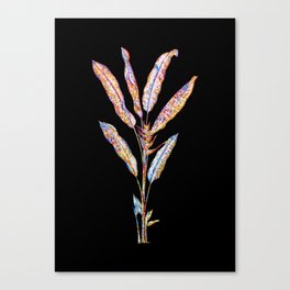 Floral Parrot Heliconia Mosaic on Black Canvas Print