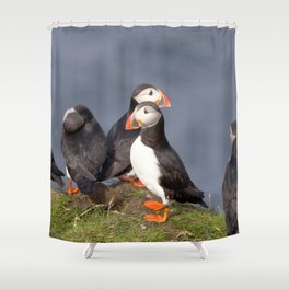 Watercolor Bird, Atlantic Puffins 02, Westman Islands, Iceland Shower Curtain