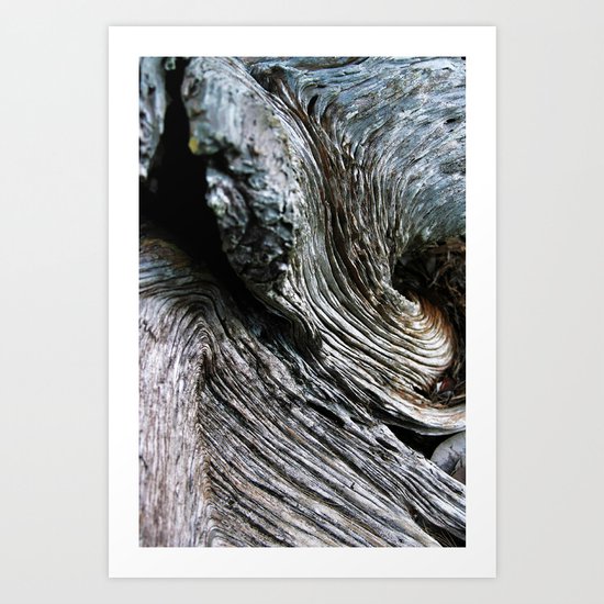 Swirl Art Print