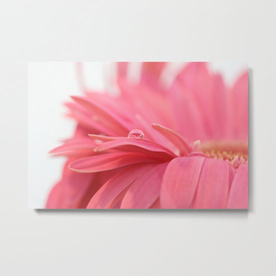 Pink Daisy Metal Print