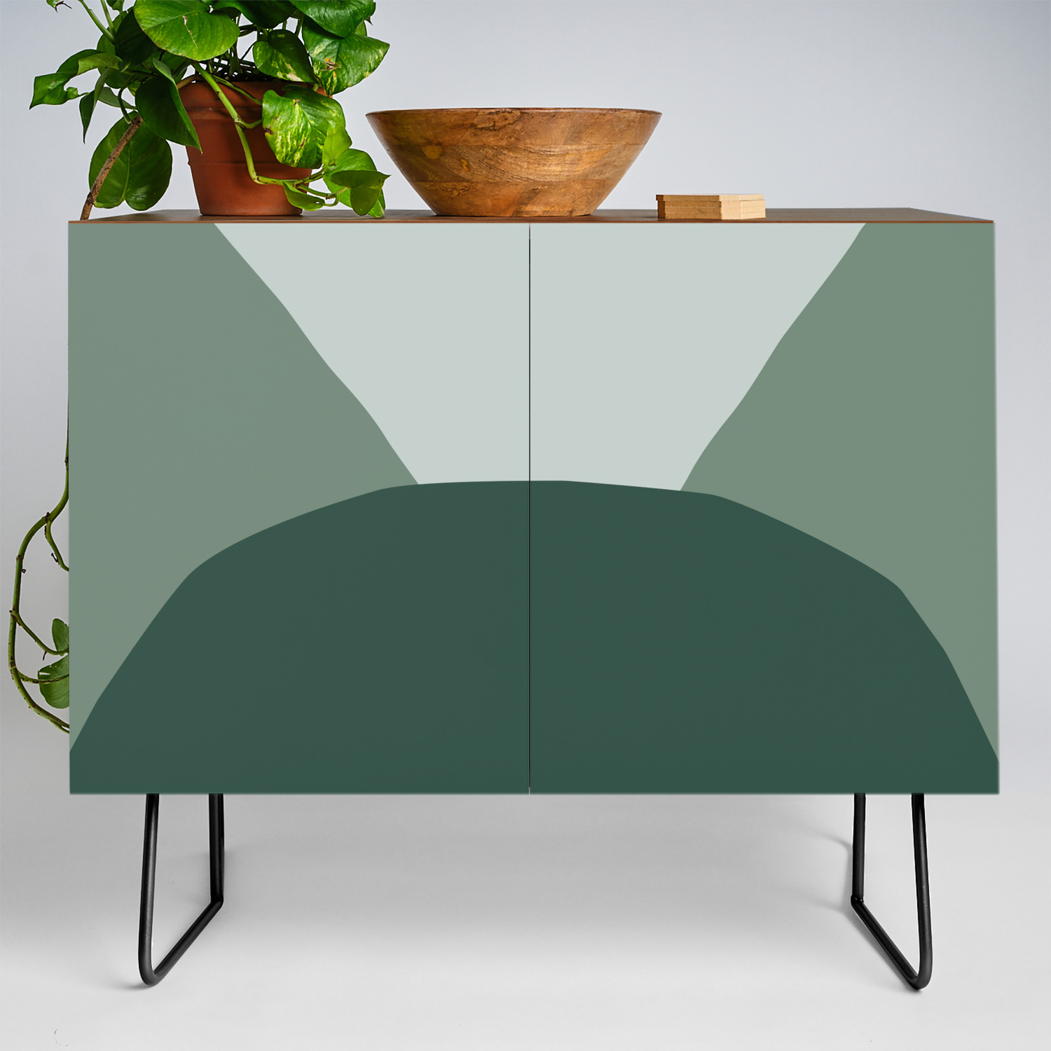 Deyoung Eucalyptus Credenza By Caligrafica Society6