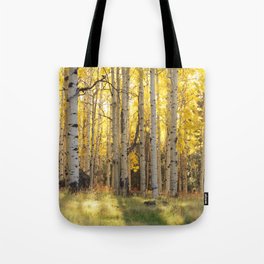 Aspen trees in Autumn ,Coconino National Forest, Arizona, USA Tote Bag