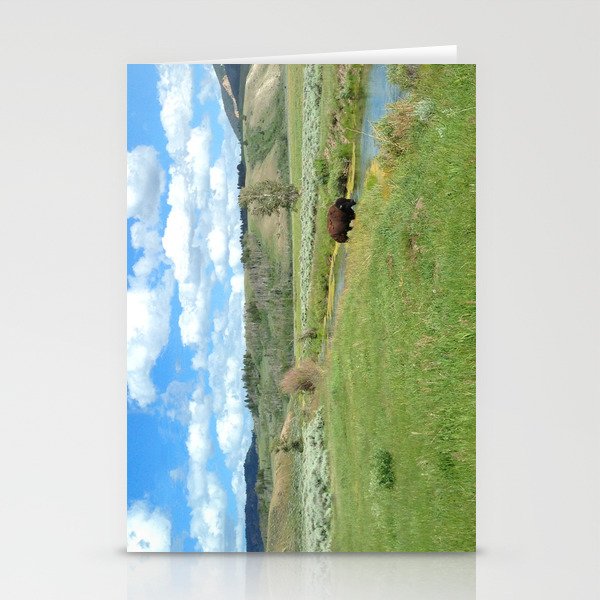 Bison, Grand Teton National Park, Wyoming Stationery Cards