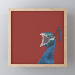 Peacock  Framed Mini Art Print