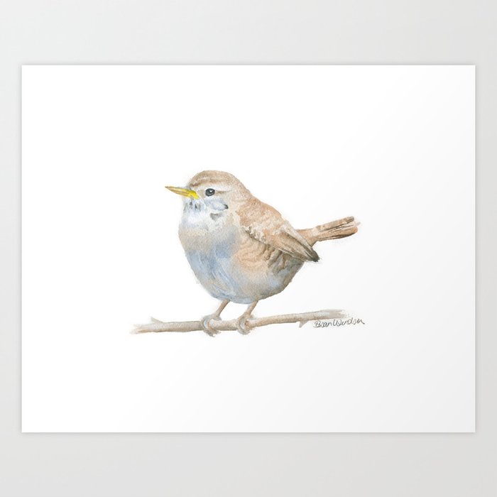 Wren Art Print