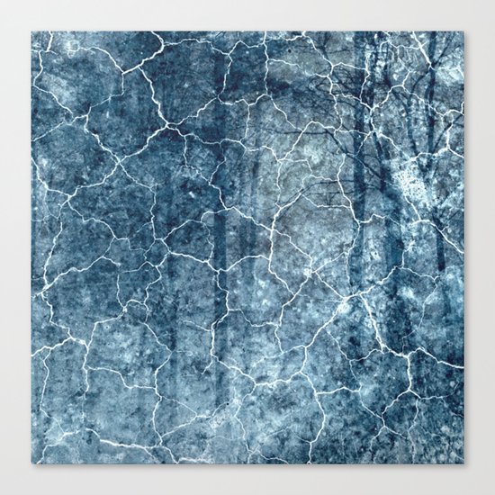Craquelè Canvas Print