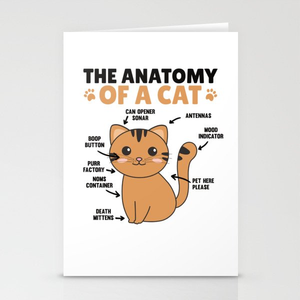 The Anatomy Of A Cat Explanation Of A Cat Stationery Cards