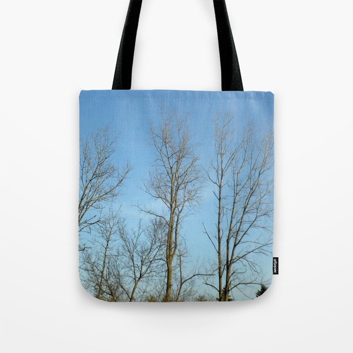 Winter Trees Tote Bag