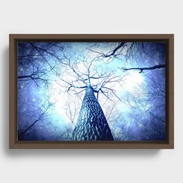 Winter's Coming : Wintry Trees Galaxy Skies Framed Canvas