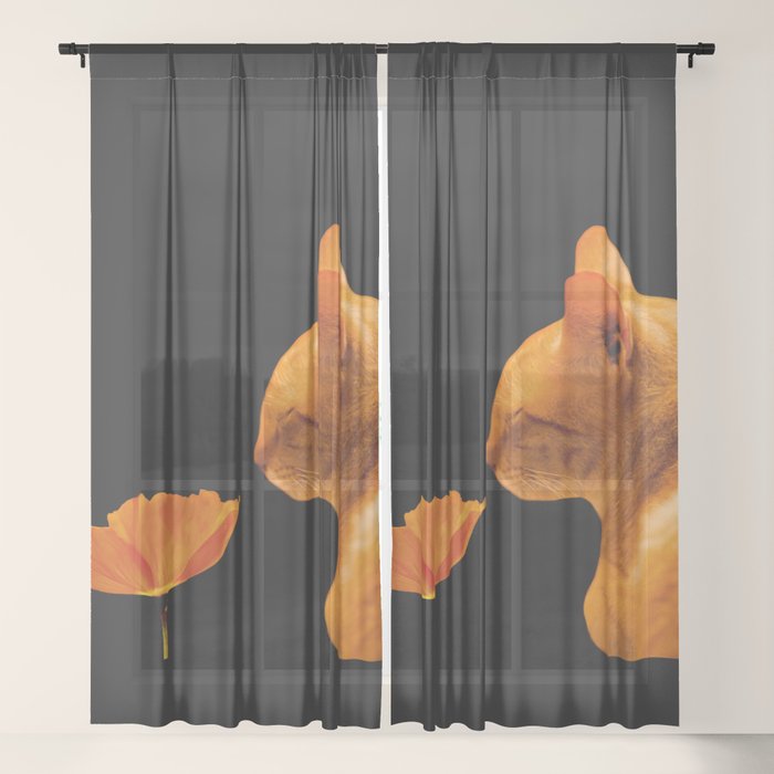 Sheer Curtain
