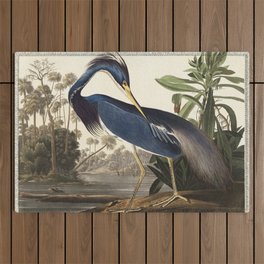 Louisiana Heron from Birds of America (1827) by John James Audubon Outdoor Rug