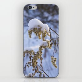Winter Grass iPhone Skin