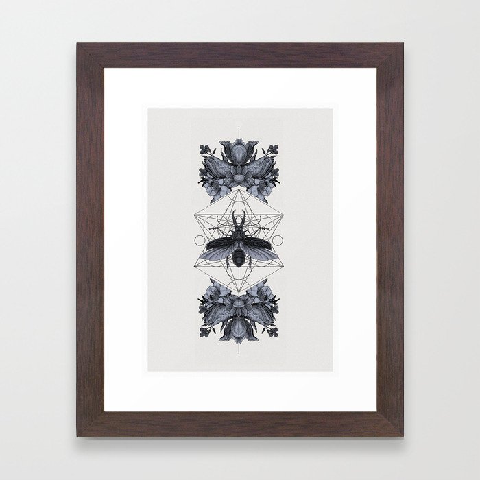 The Panoply Plate 05 Framed Art Print