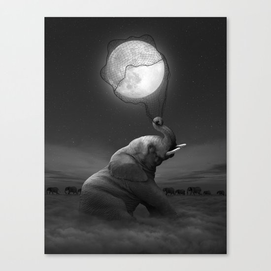 Bringing Light to the Darkness Canvas Print