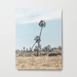 El Palmar National Park Crooked Palm Trees | Entre Rios, Argentina | Travel Landscape Photography Metal Print | Beach, Crooked, Nature, Pams, Palmar, Blue, Nationalpark, Travelphotography, Sky, Digital 