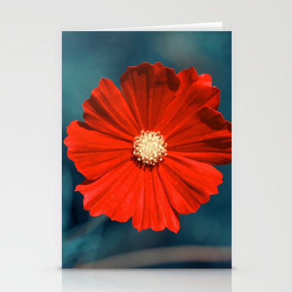 Cool Red Stationery Cards