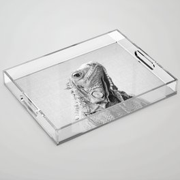 Iguana - Black & White Acrylic Tray