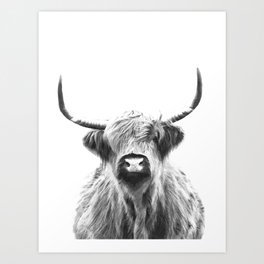 Black and White Highland Cow Portrait Art Print