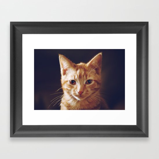 Kitty 2 Framed Art Print