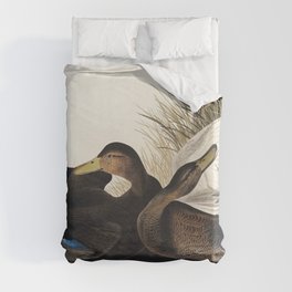 Dusky Duck from Birds of America (1827) by John James Audubon, etched by William Home Lizars.  Duvet Cover