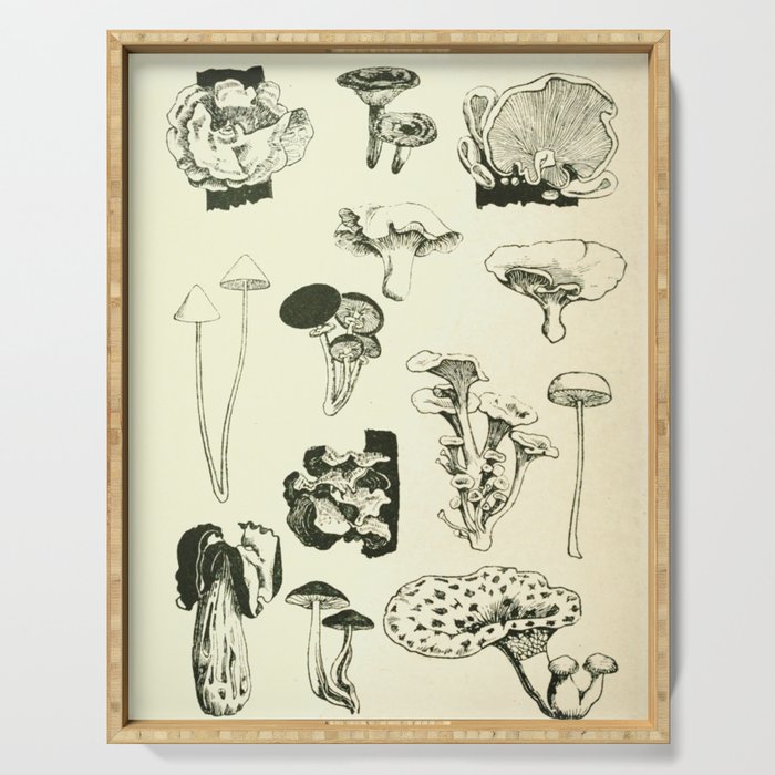 Naturalist Mushrooms Serving Tray