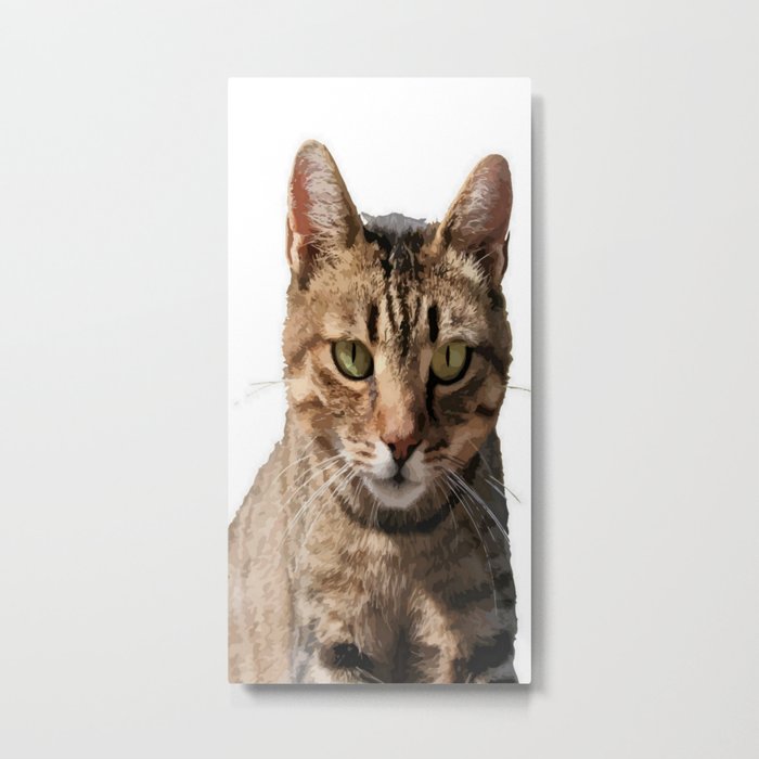 Portrait Of A Cute Tabby Cat With Direct Eye Contact Isolated Metal Print